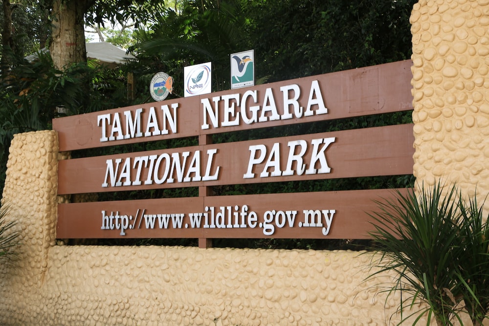 Mutiara Taman Negara 52