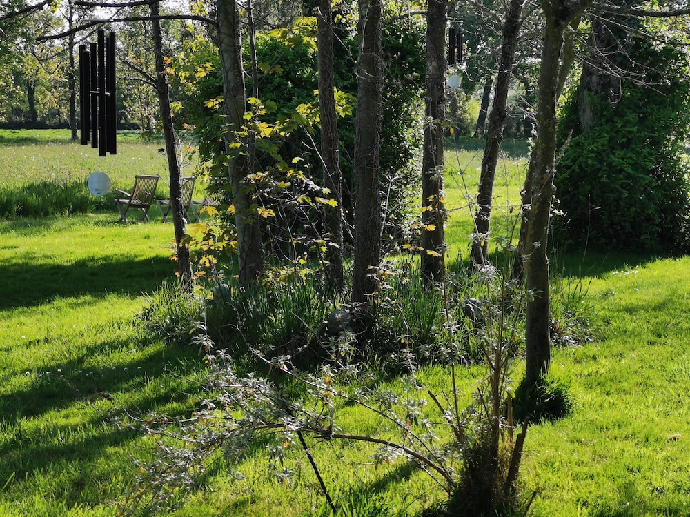 Photo 40