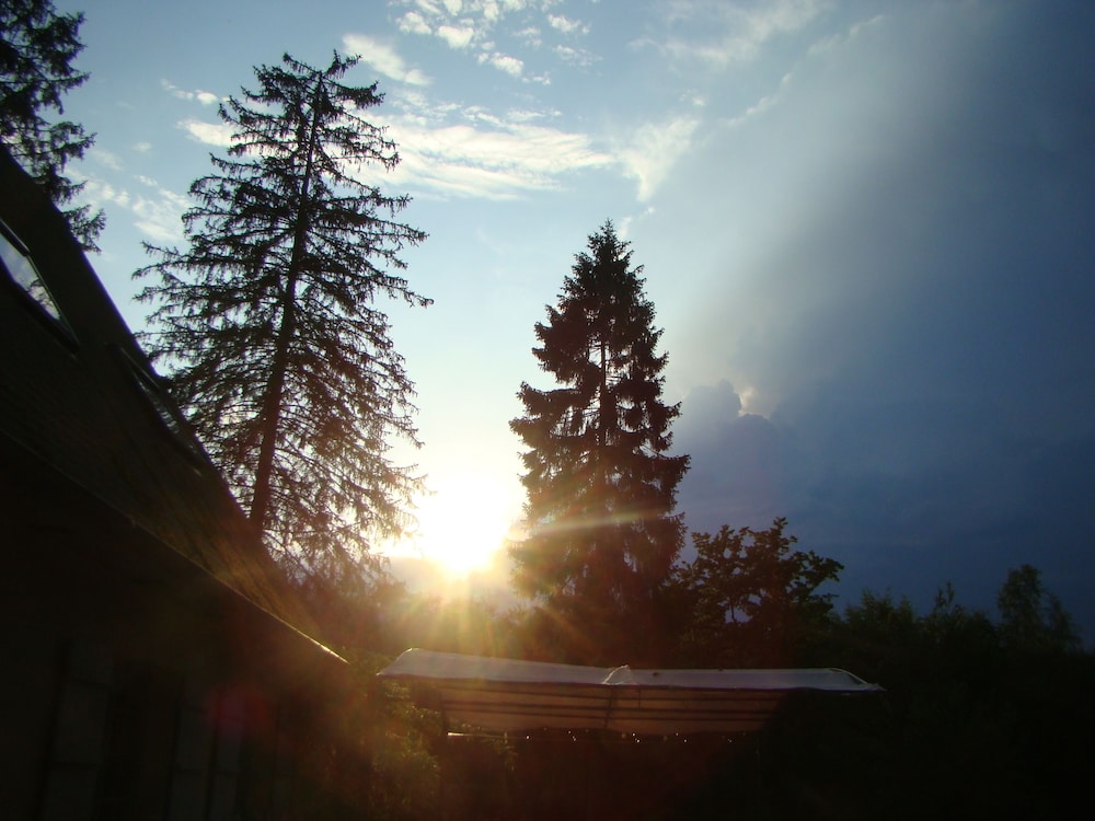 Le jardin de Saint Jean