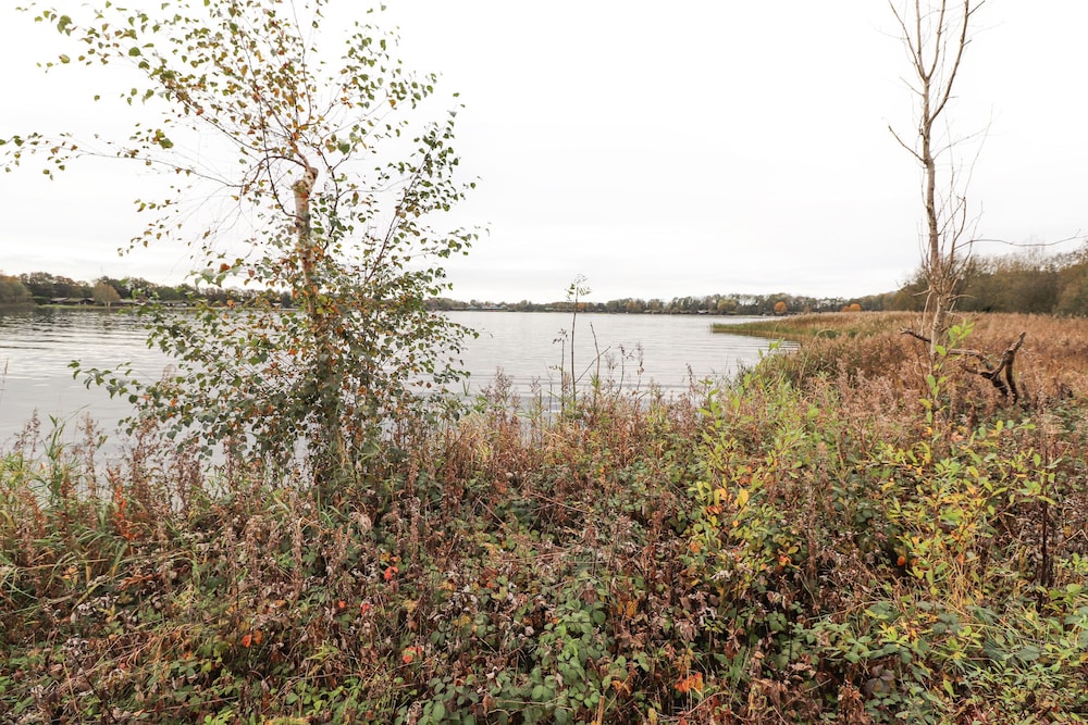 Pine Lake View
