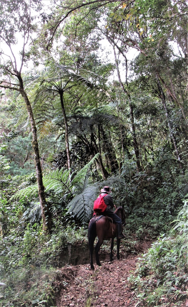 Finca Los Arboles