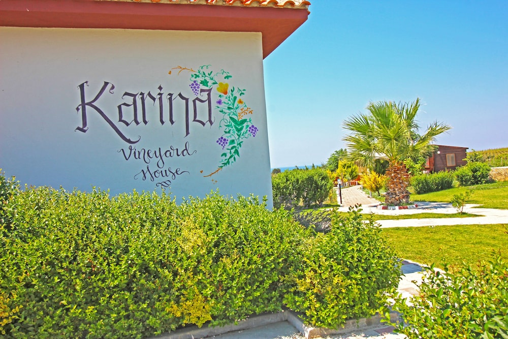 Karina Vineyard Evi - Image 19
