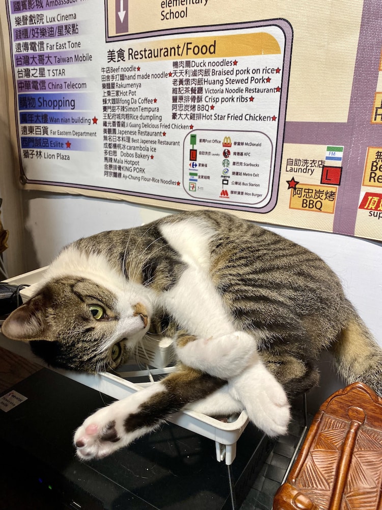 Ximen Triple Tiger Hostel - Image 5