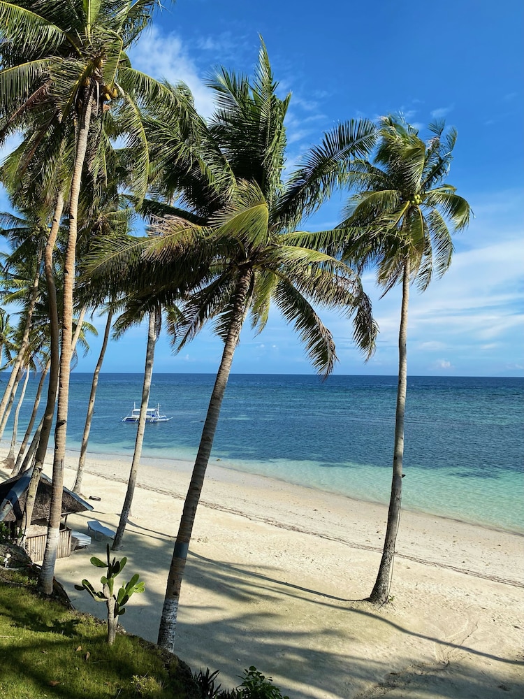 Anda White Beach Resort 70