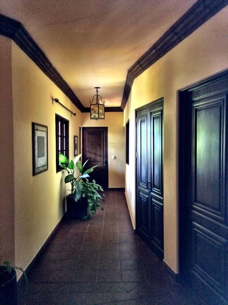 Photo 28