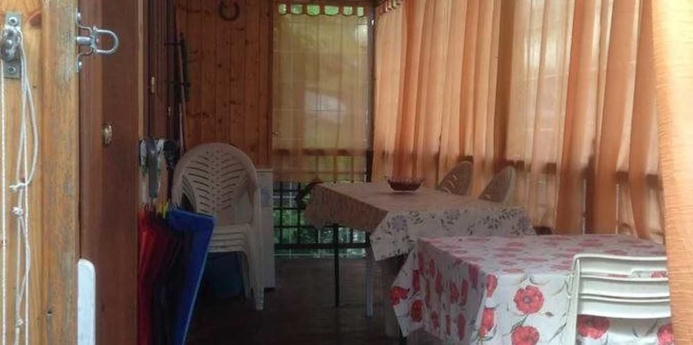 International Camping