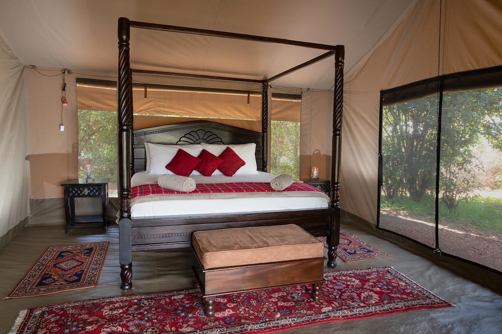Hammerkop Migration Camp