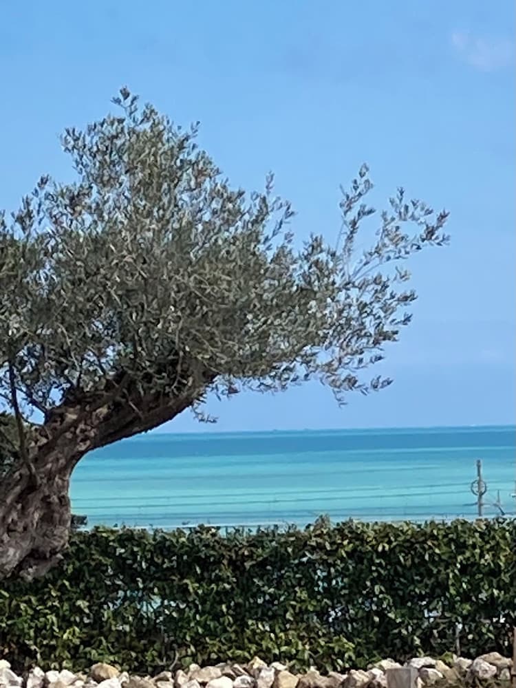 Falipè