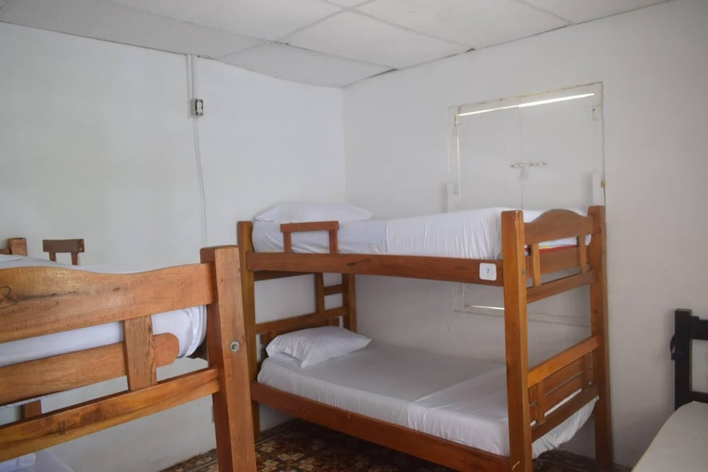 MANGO TREE HOSTEL 4 20