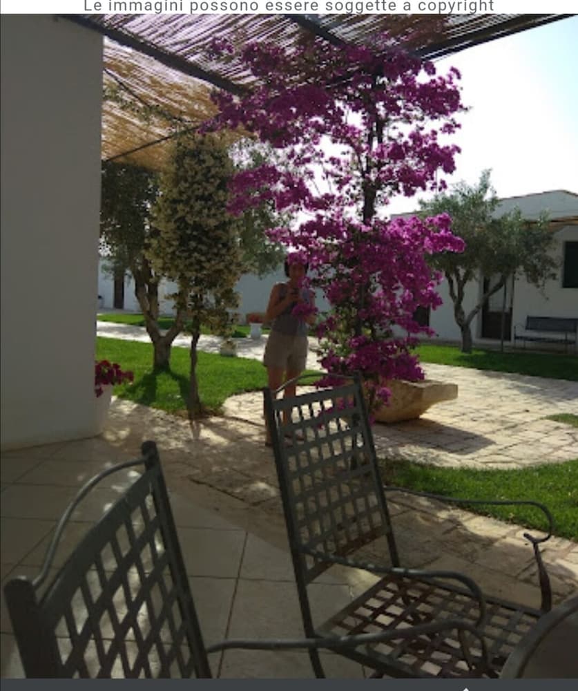 Spacious Double Room in Ancient Masseria Near the sea in a Quiet Olive Trees photo 5