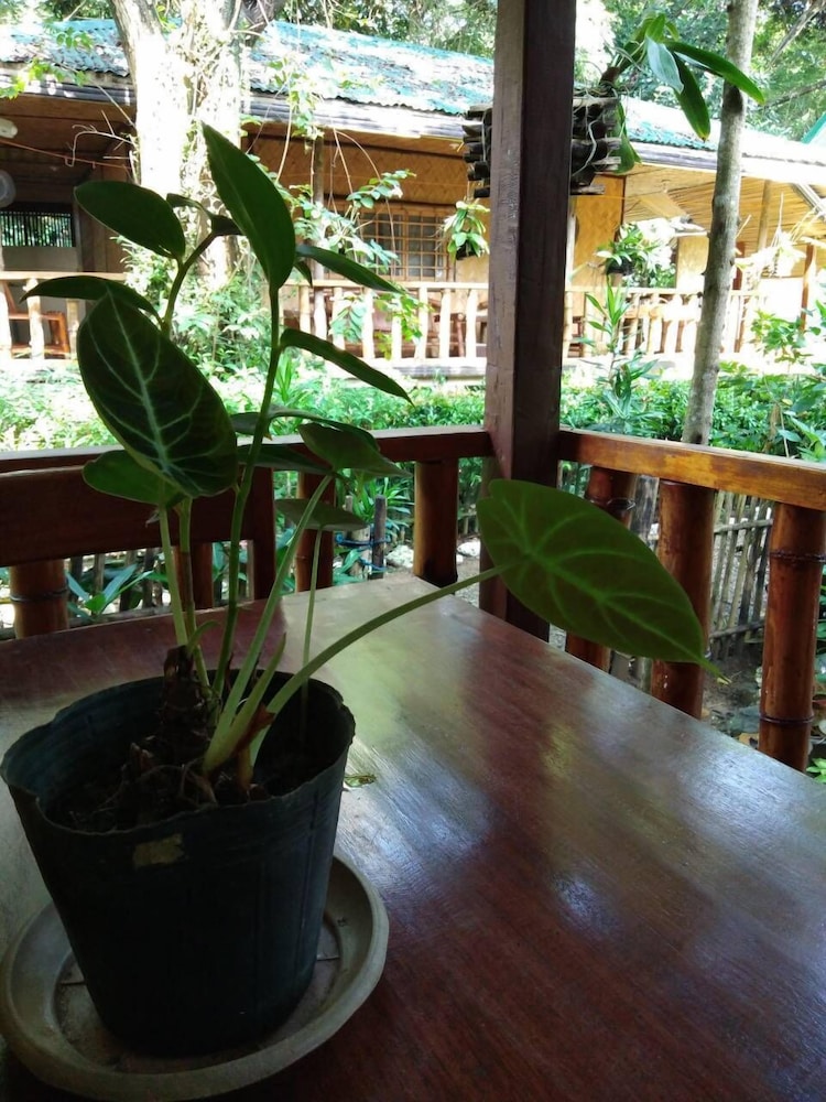 Nelly's Nipa hut