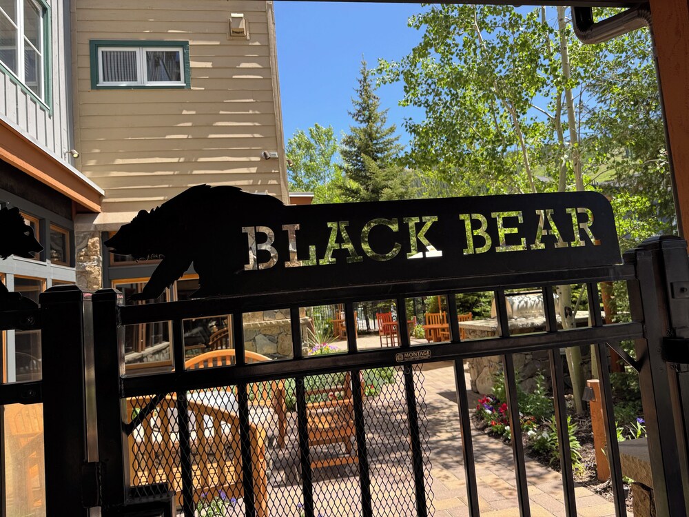 Black Bear 8040