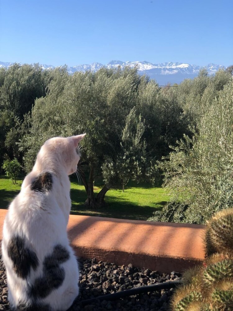 Jardin Sakina