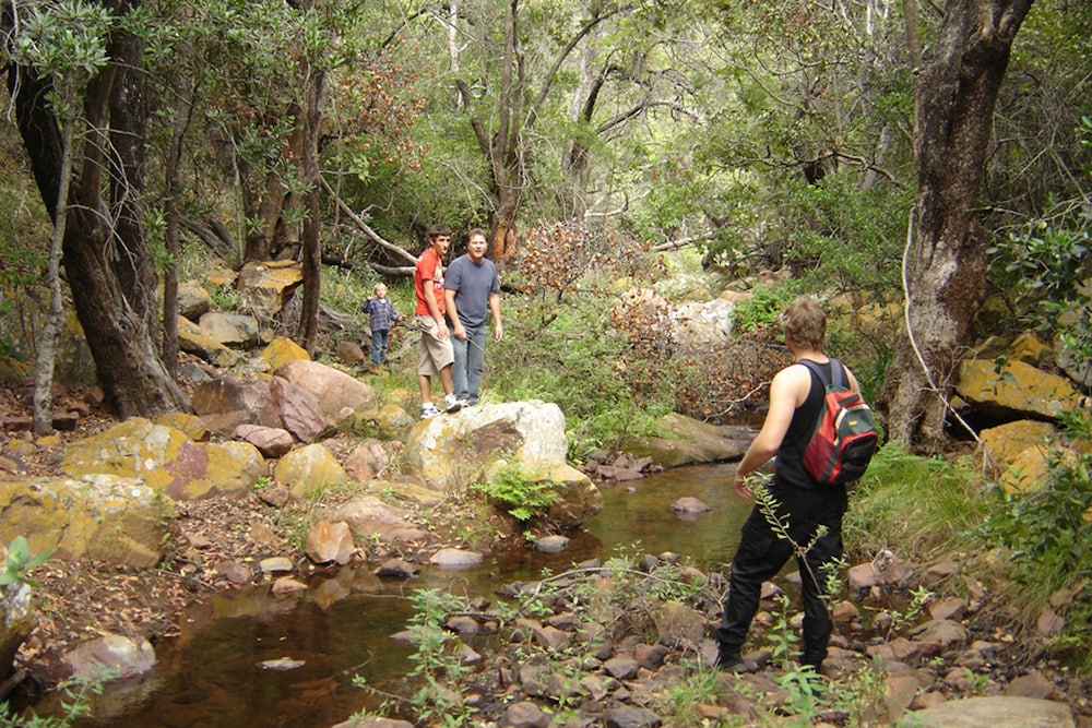 Photo 21