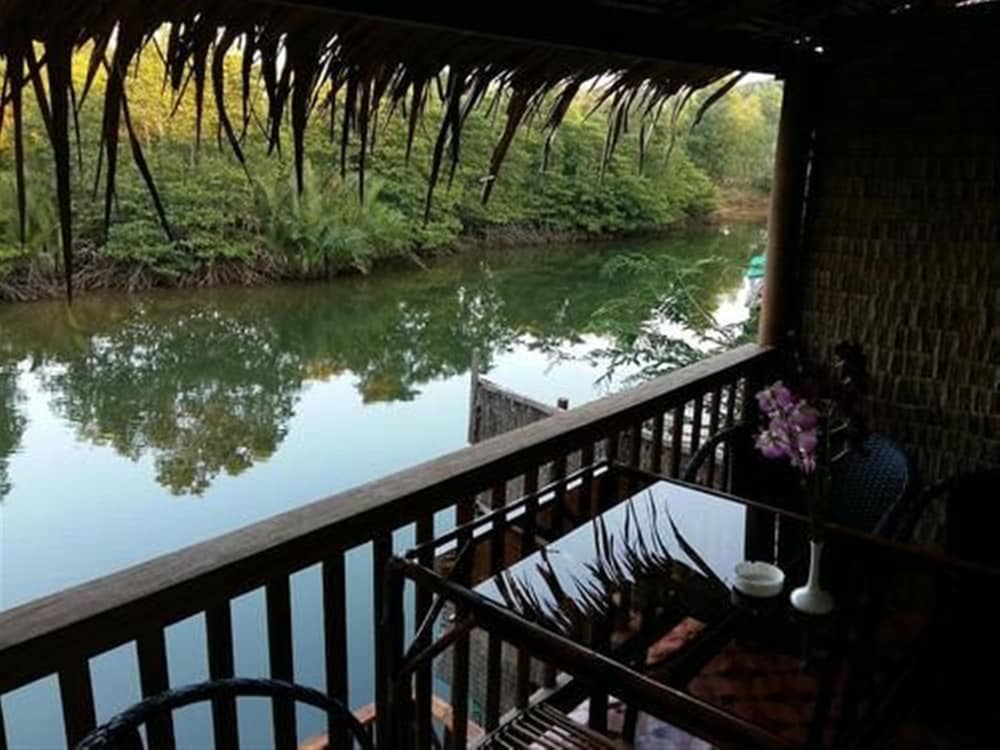 Mangroves & More