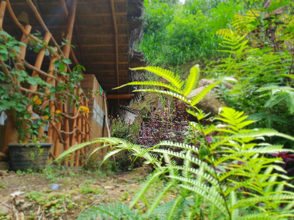 Ella River House