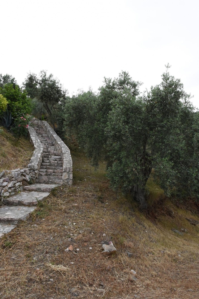 Photo 50