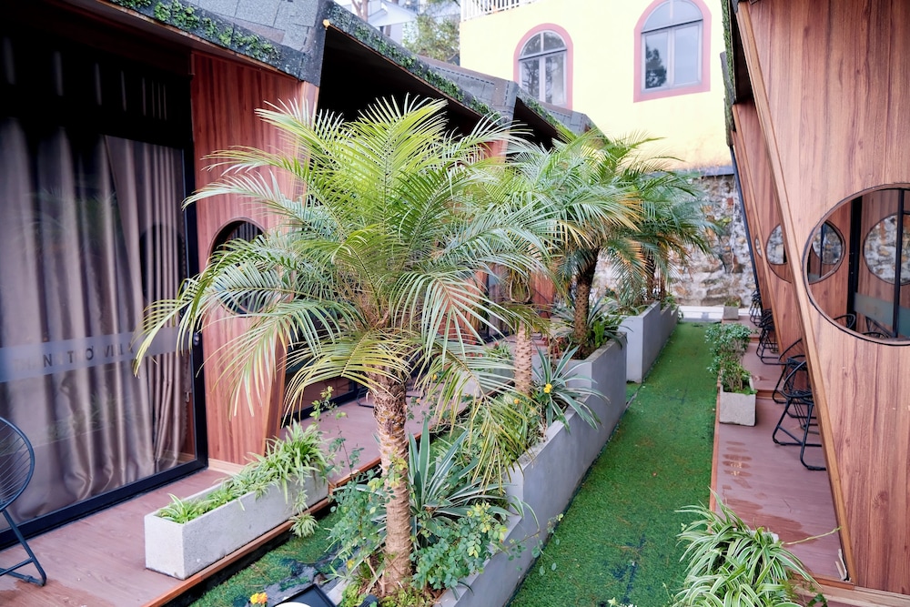 Mo Mang House Tam Đao