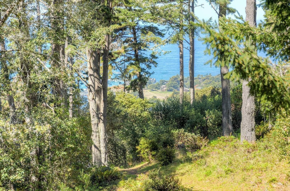 Sweet Sea Ranch Nestled in Redwood Forest view 5