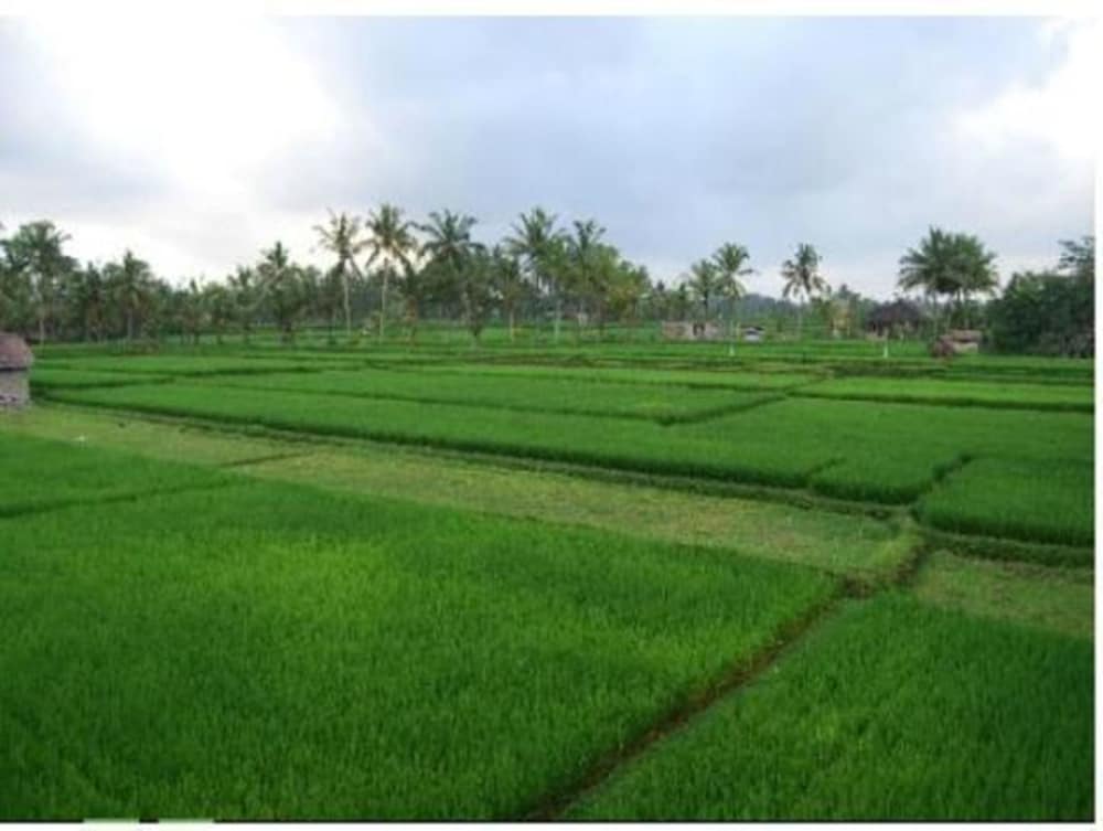 Ume Sita Home Stay