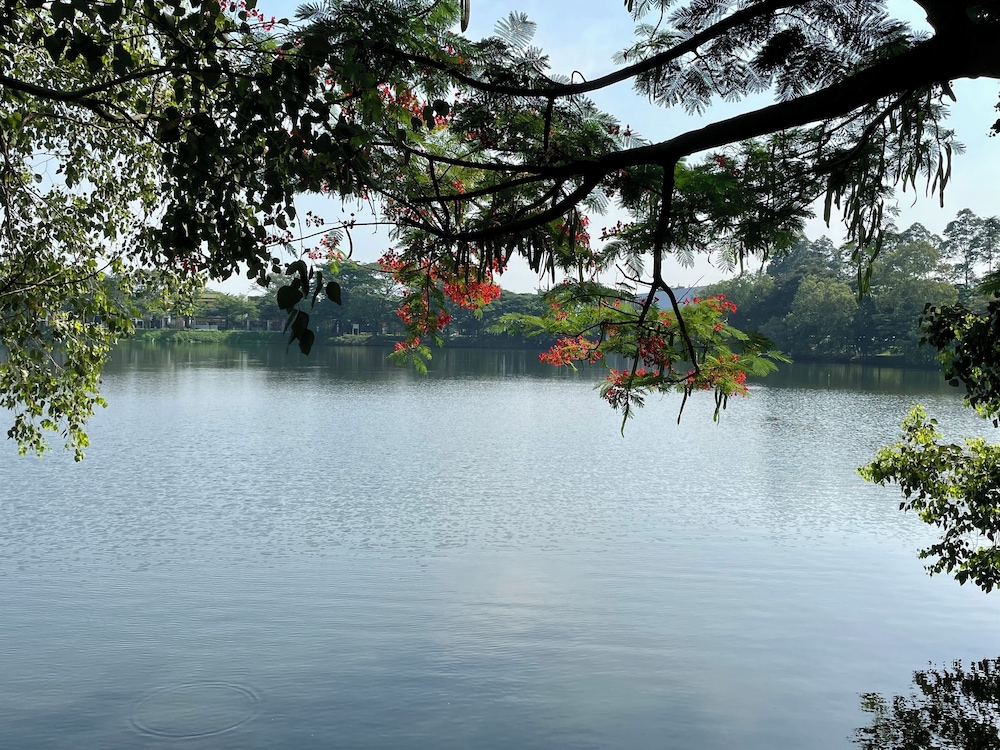 Lush Lakeside - Citra Luxury Apartments