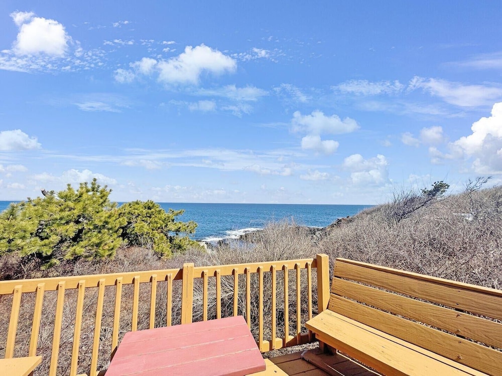 Seacoast Sanctuary
