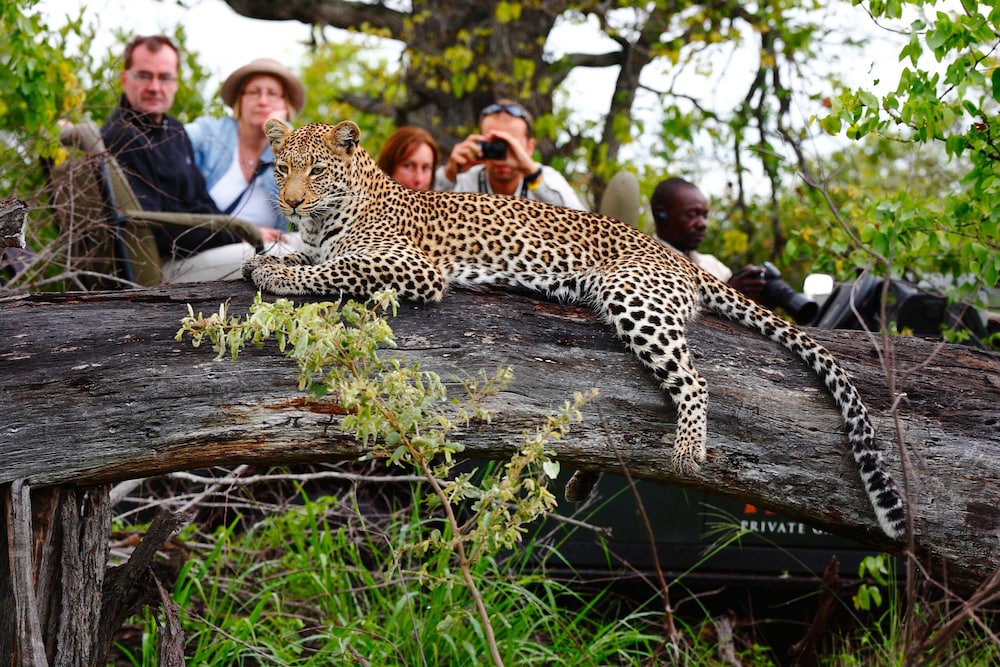 Motswari Private Game Reserve Resort by NEWMARK