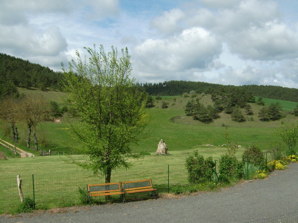 Photo 40