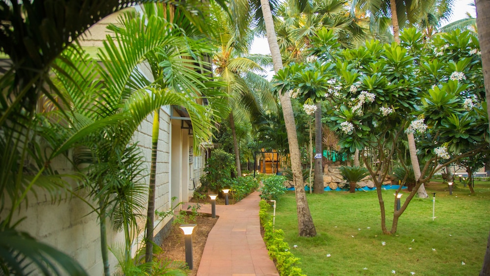 Mangrove Resorts