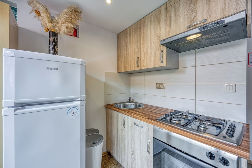 Spa Apartment Tinca view 5