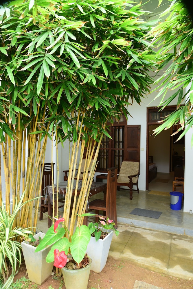 Tranquil