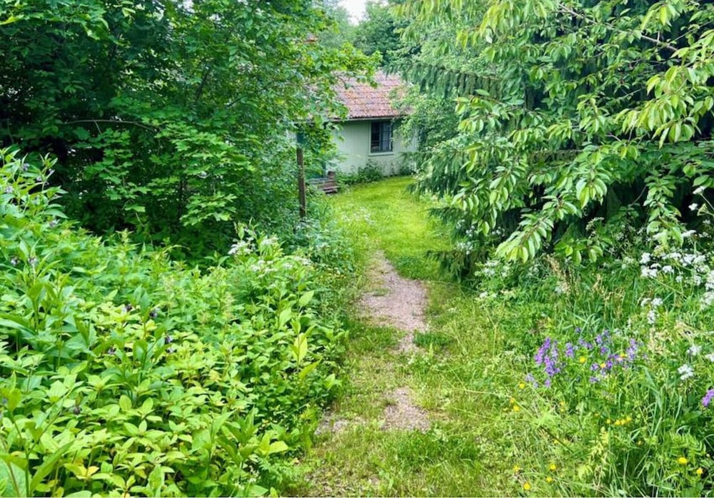 Photo 31