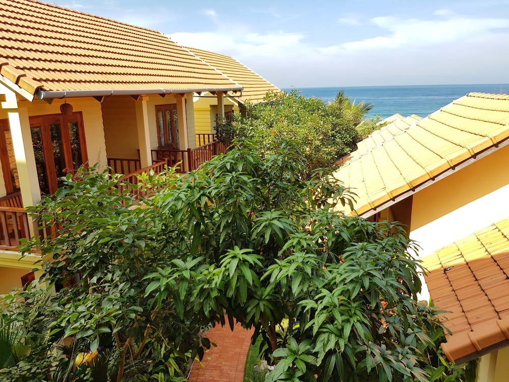 Free Beach Resort
