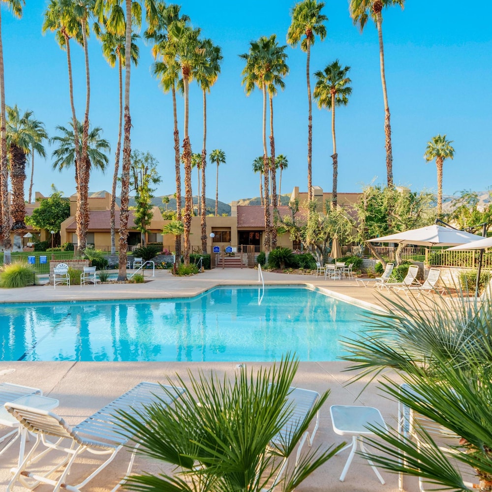 Paradise at the Pointe