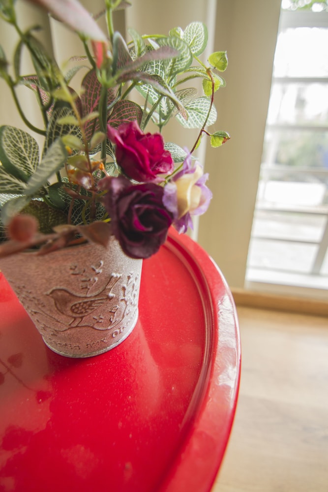 Jovita House BnB