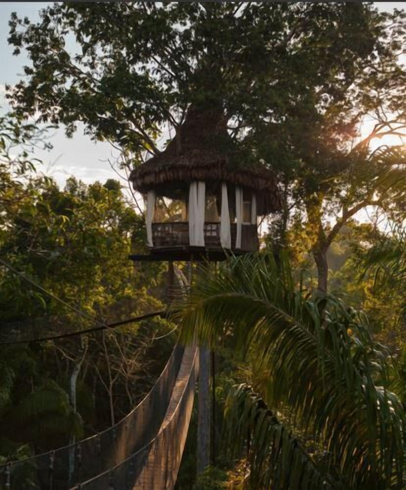Treehouse Lodge