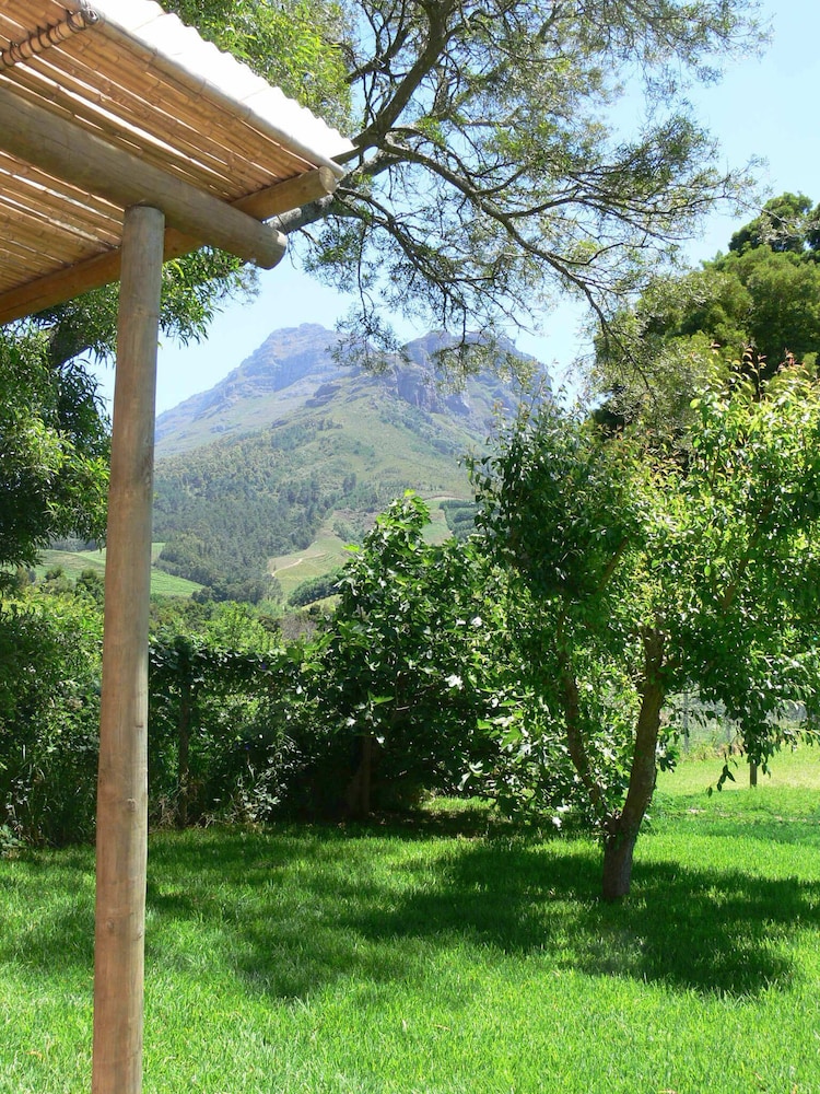 Orange Ville Guesthouse