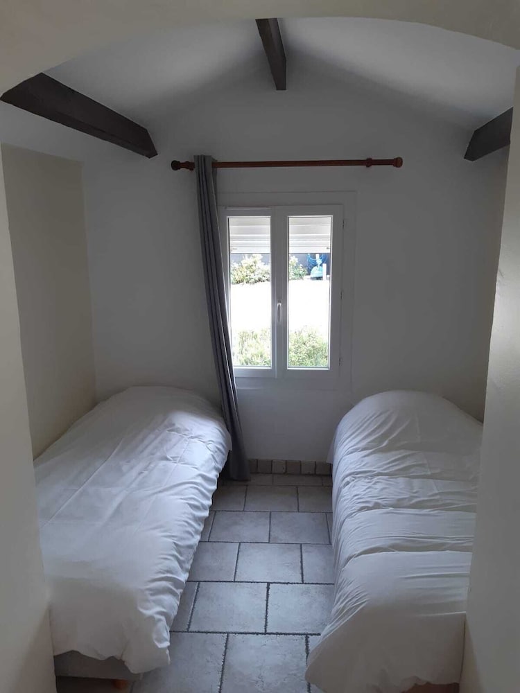 Le Vieux Platane