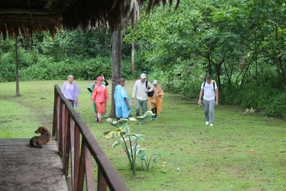 Tropical Adventures & Expeditions