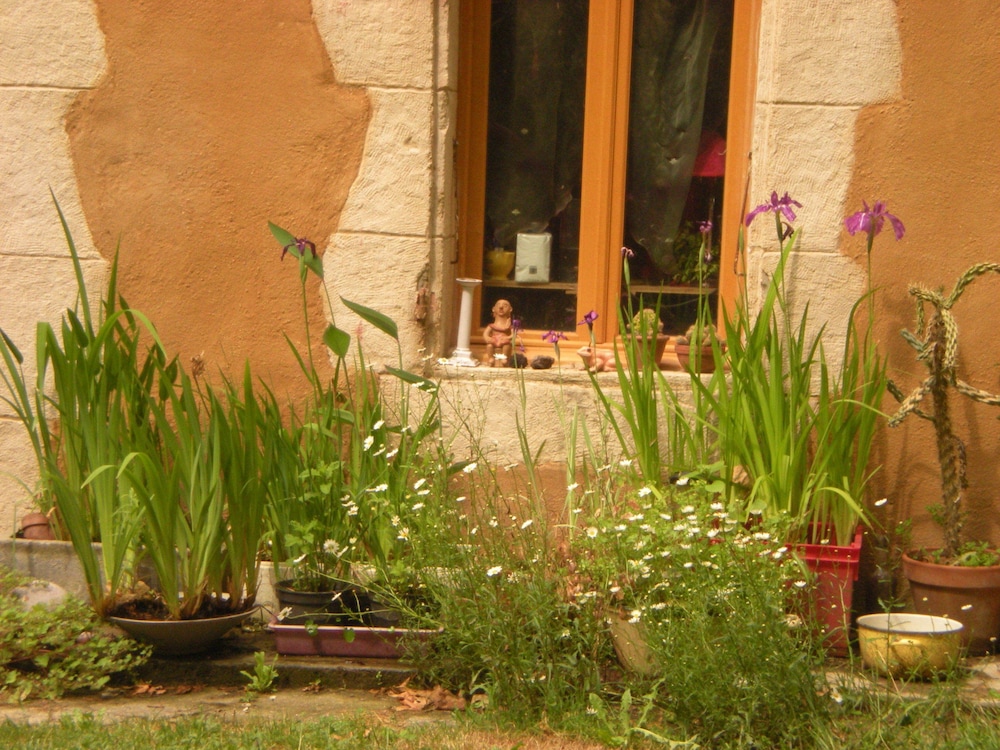 Photo 33