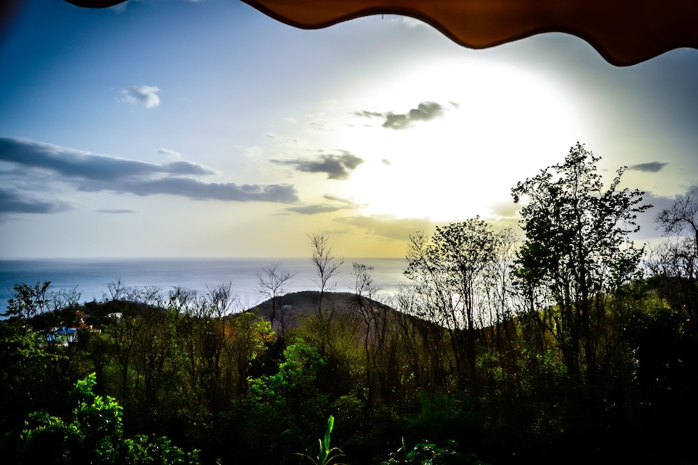 Harmonie Tropicale