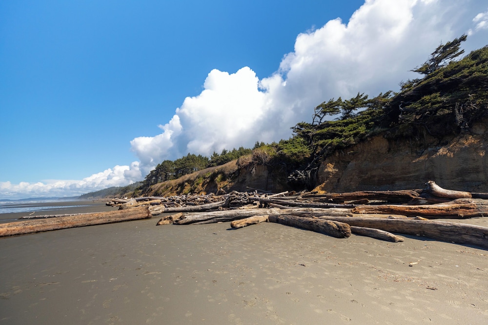 Kalaloch Lodge, Foto 29