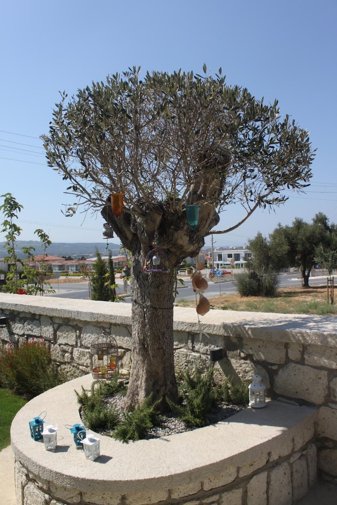 Eritrina Otel - Image 26