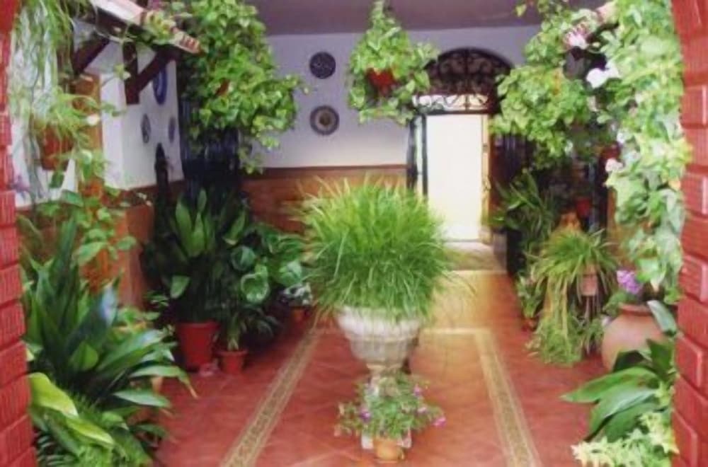 Apartamentos Embrujo de Azahar