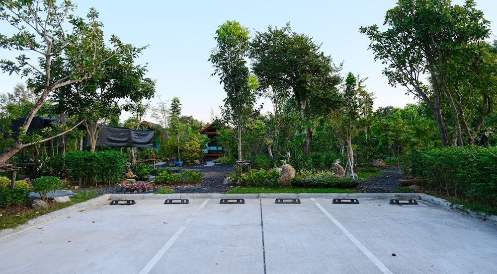 Lush Inn Phuket