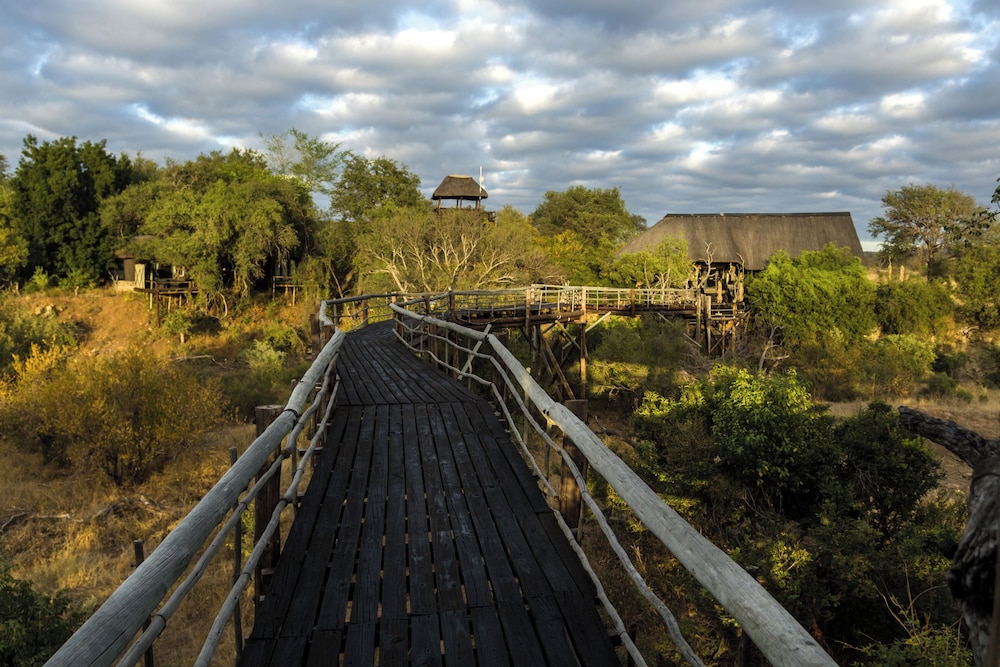 Hotel Ezulwini Game Lodges - Image 1