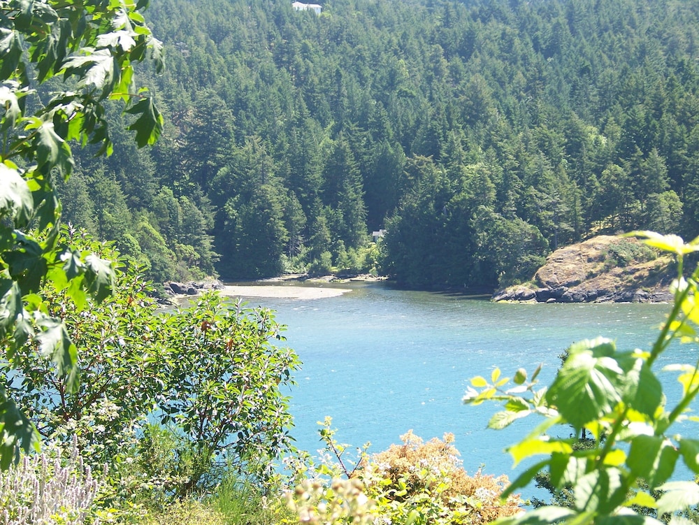Moonlit Cove B&B