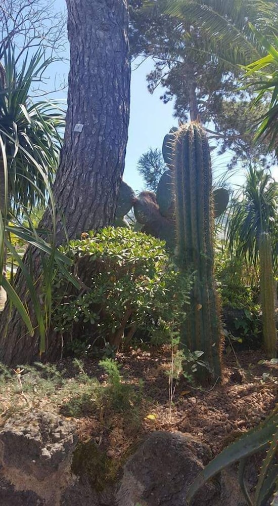 Photo 44