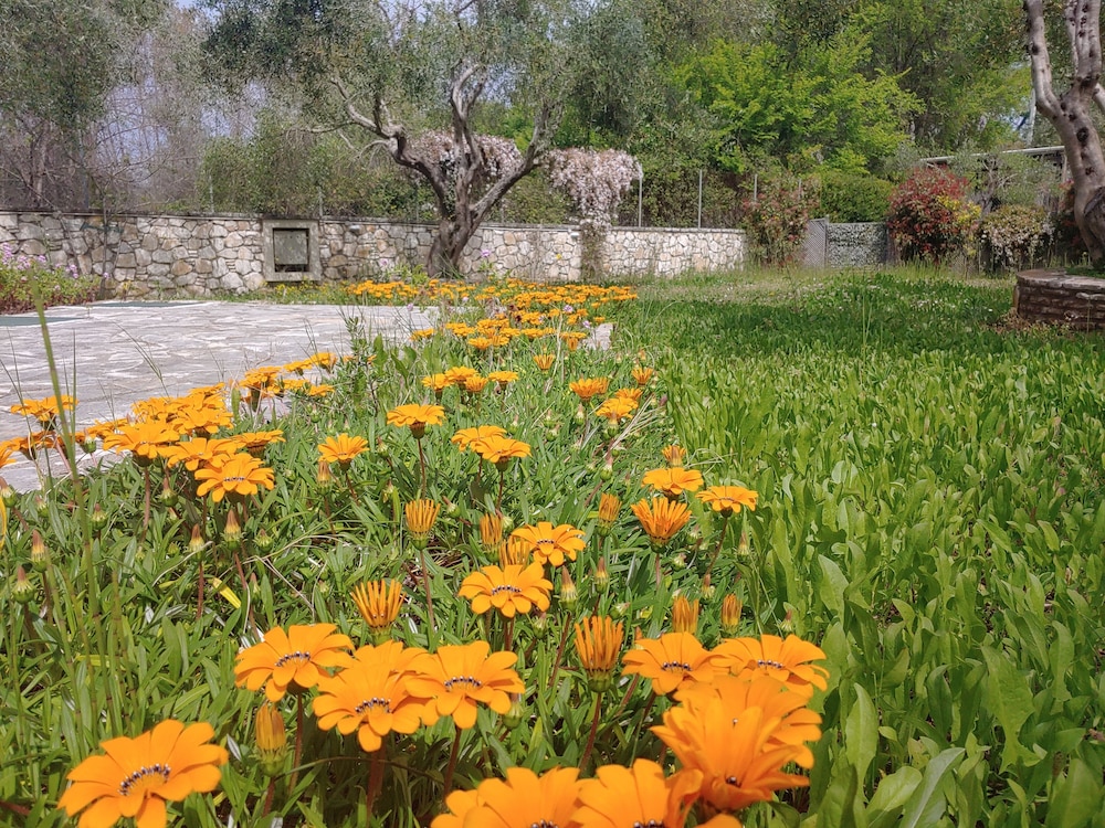 Photo 25