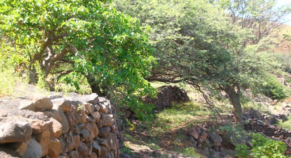 Farinha de Pau - Eco Rural Project